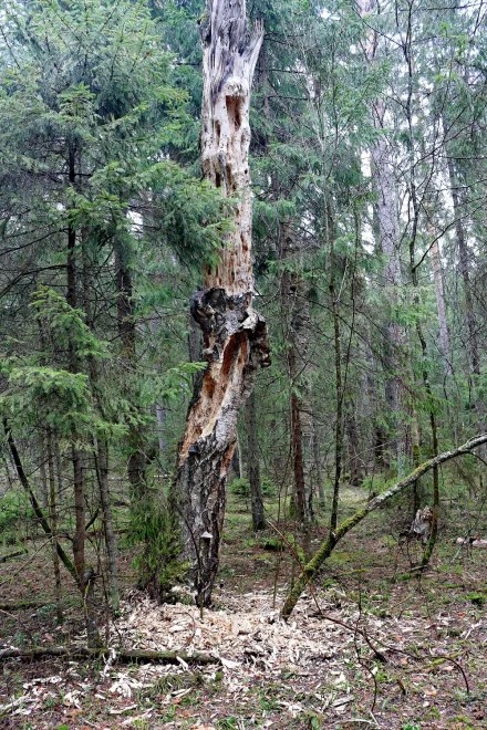 Психанул...))