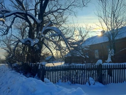 Сквозь кружево белое солнце лучится