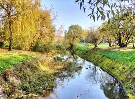 На нашей городской речке
