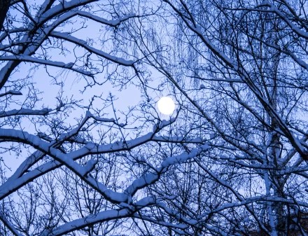 Новогоднее полнолуние 2