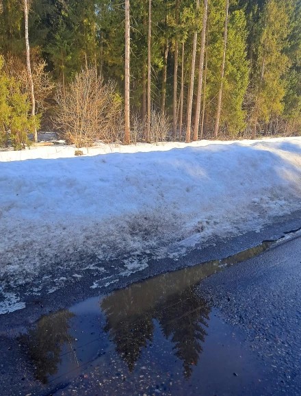 В зеркалах веснв