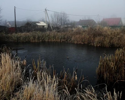 Струнино Владимирская область.