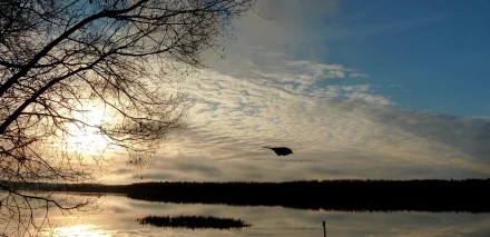 Хроника пикирующего....)