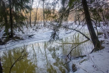 Январское половодье 3