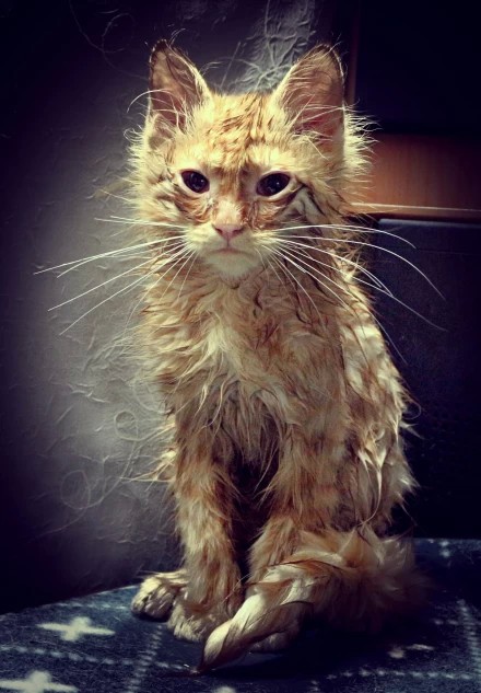 День не сложился( День не сложился(