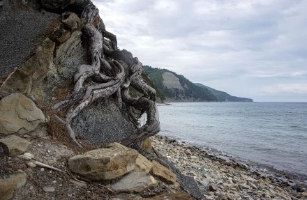 Берег в Геленджике