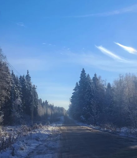 Прогулка по зимней дороге