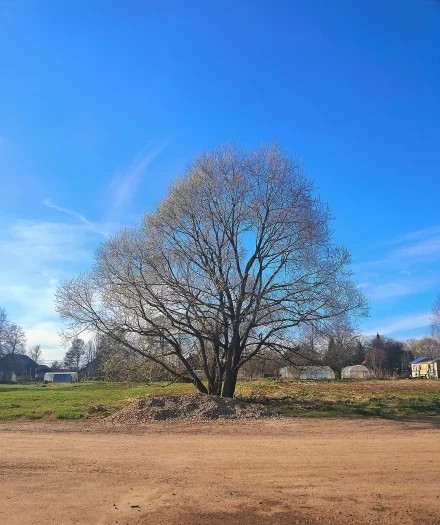 На окраине деревни Зубцово