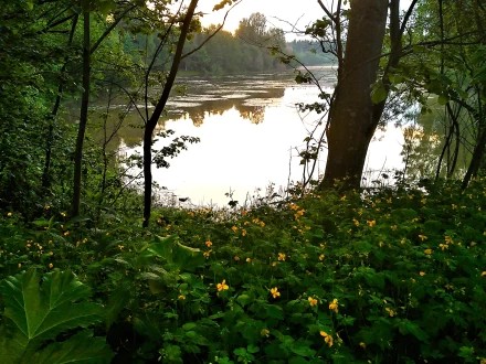 ВЕЧЕР НА ПРУДУ