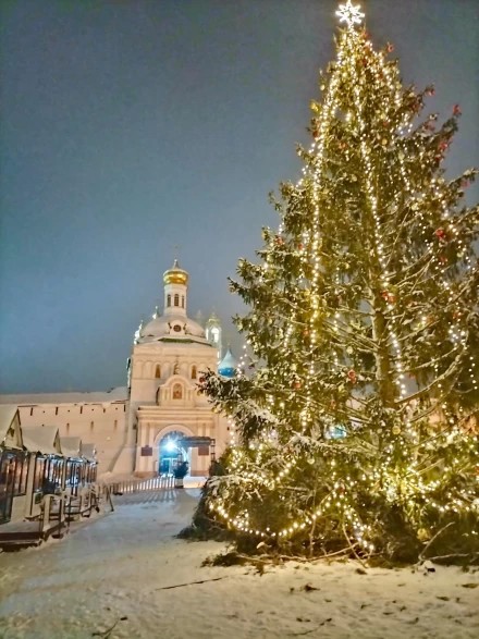 Рождественская ель