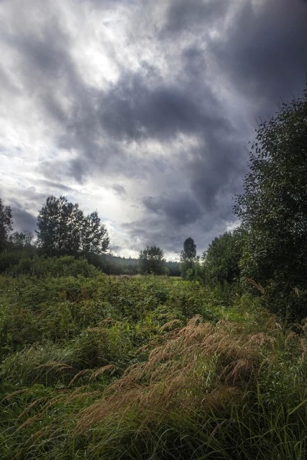 Осенний ветер