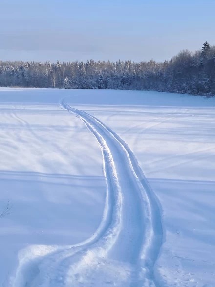 Эх, прокачу!