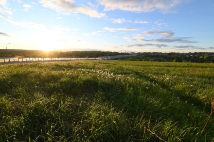 Почти летний вечер на поле в городе