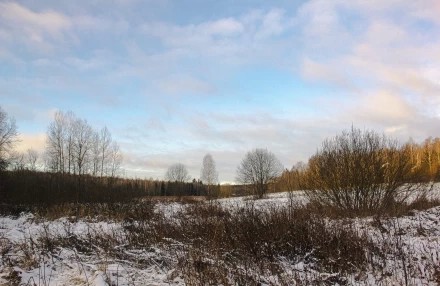 Ветреный денёк