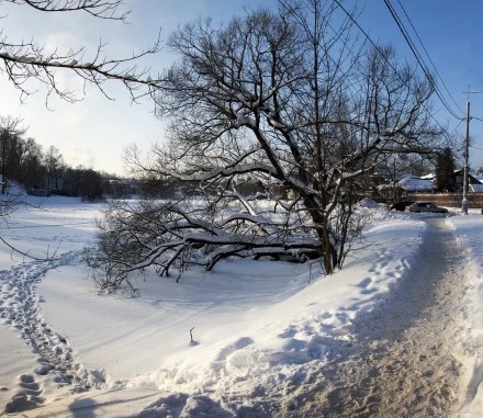 Келарский пруд. Январь 2