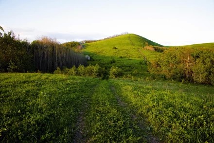 Дорога в гору