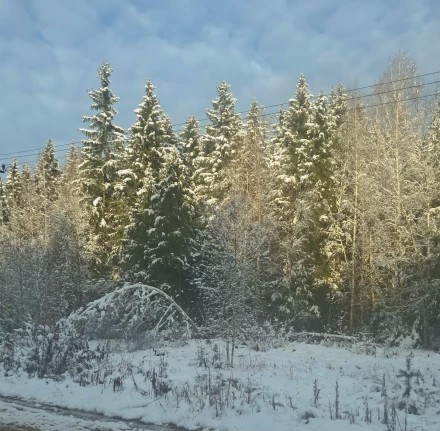 Зима лишь  только заглянула