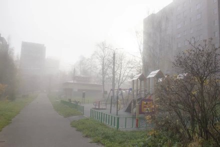 Туманный двор