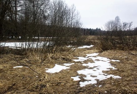 Снег уходит