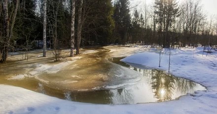 Вода прибывает