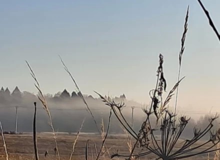 Ноябрьские туманы