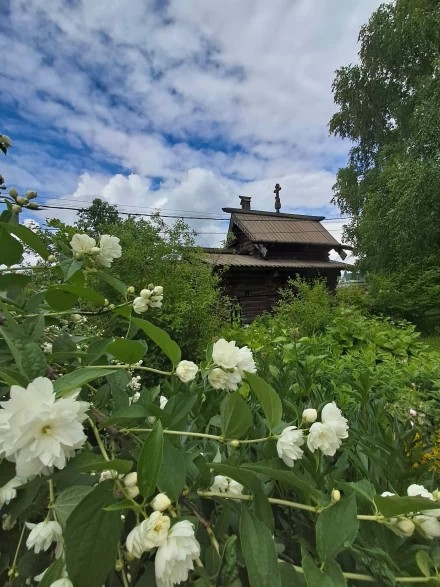 Крестильня