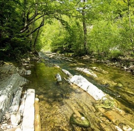 Река Адегой 2