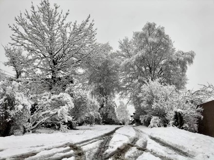 Первый ноябрьский снег