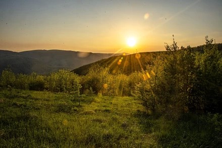 Вечернее солнце