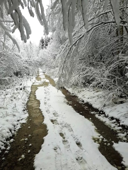 После первого снега 2