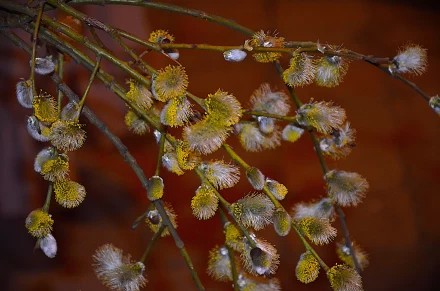 С ПРАЗДНИКОМ!