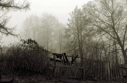 Просто старый деревенский забор...