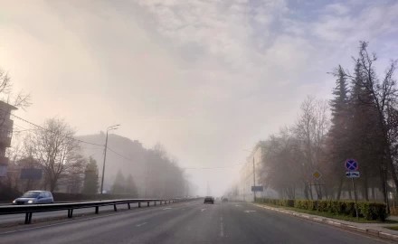 Туманное утро на проспекте