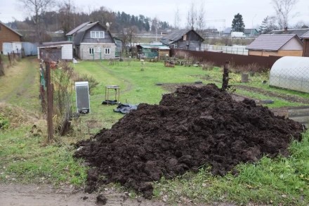 ноябрь 2025, обстановка в Заречном