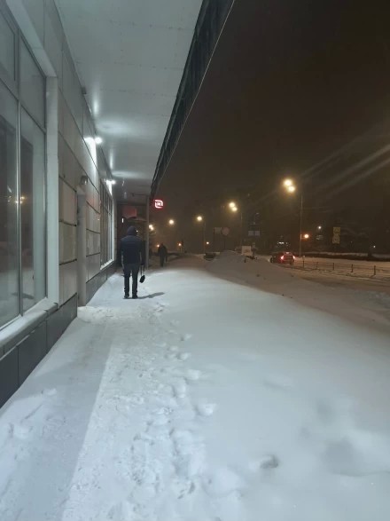 Метельный вечер