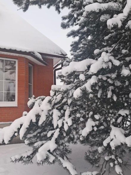 Снегопад в начале 2026г