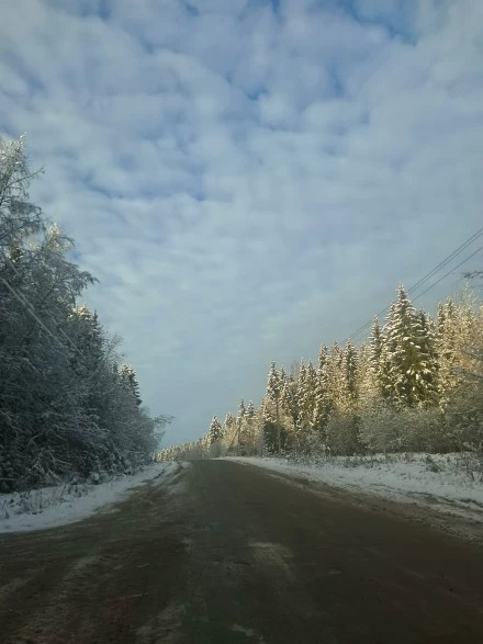 Дорога в сказку