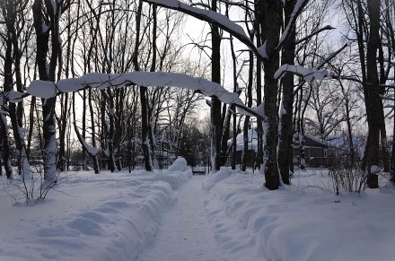 НАСТОЯЩАЯ ЗИМА ВЫДАЛАСЬ В 2026 ГОДУ