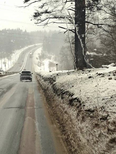 Весенняя метель