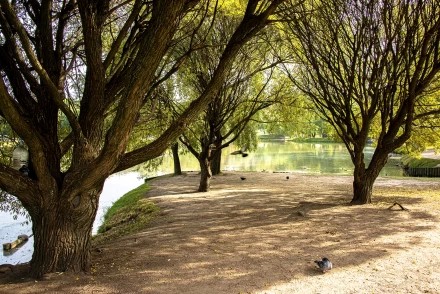 Средний пруд