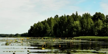 Июнь