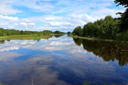 Залив