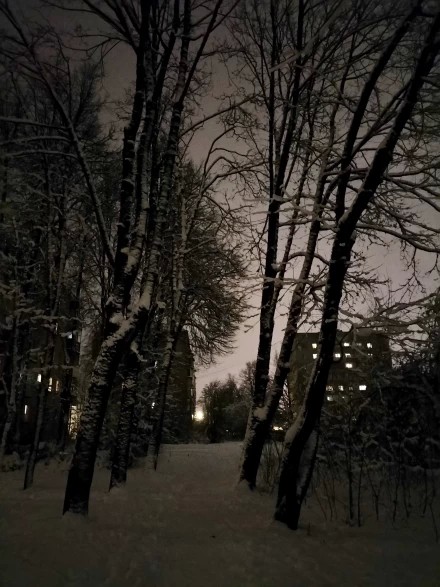 Вечером, темнеет рано