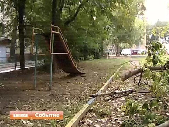 Десятки заброшенных территорий