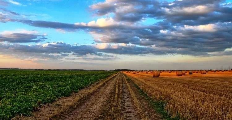 Сельхозпроизводство запустят в Сергиевом Посаде
