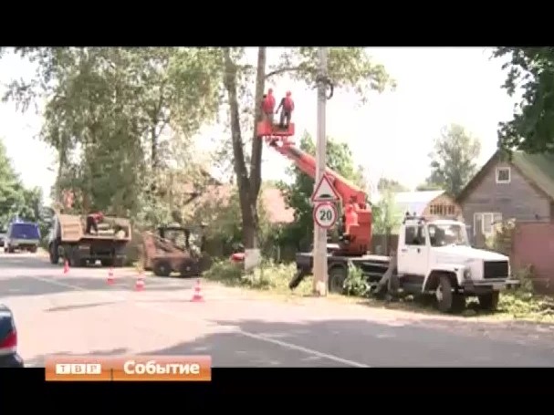 В Сергиевом Посаде ведут плановую опилку деревьев