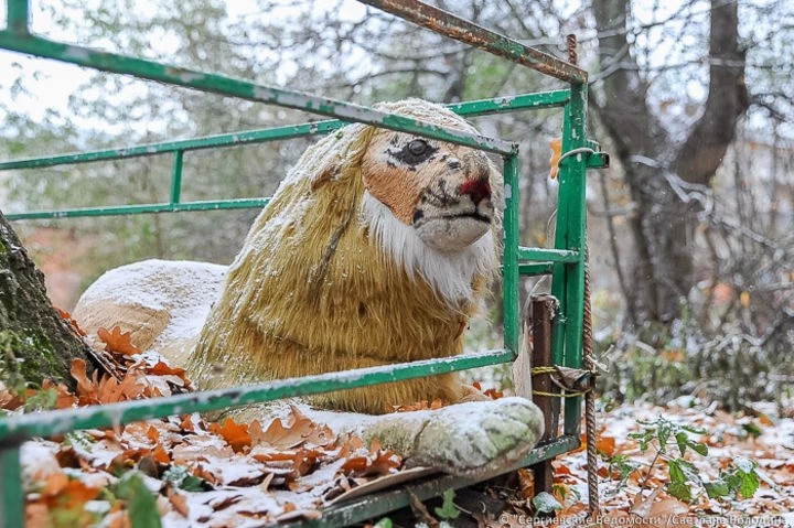Пообещали первый снег