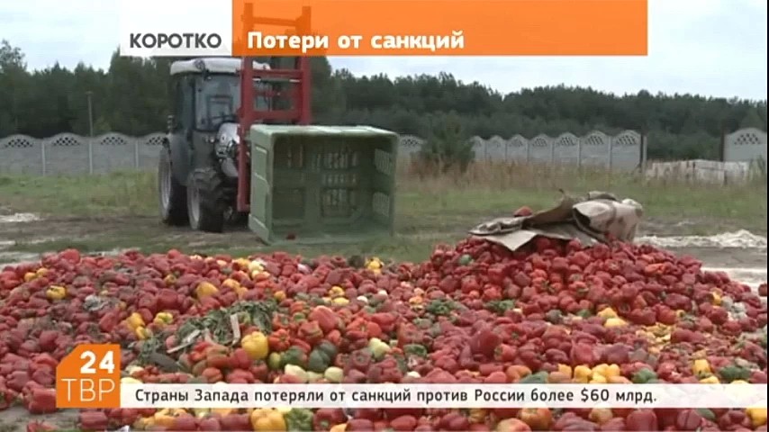 Страны Запада потеряли от санкций против России более $60 млрд. Россияне не  склонны делать запасы «на черный день». Число жалоб на портал "Добродел" выросло в три раза