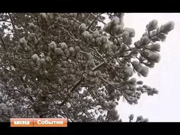 Новости коротко
