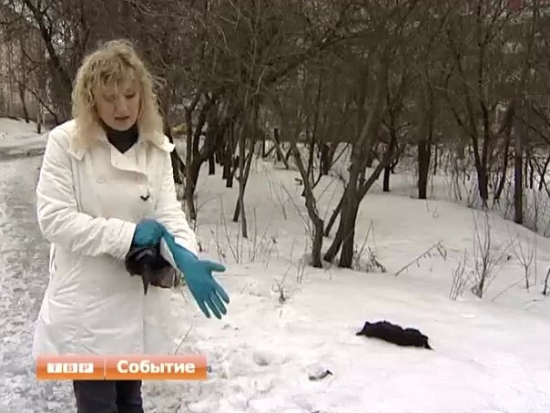 Неприятные "подснежники" убирать не спешат